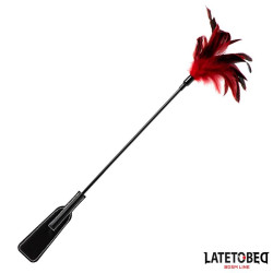 2-in-1 Paddle with feather