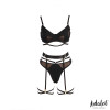 Ellie Bra, Thong, Garter Belt, and Garters Set