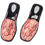 Penis slippers