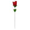 Rose with Red G-string