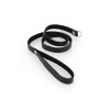 Leash, leather