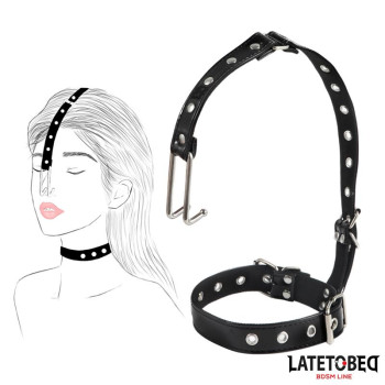 Collar with Nose Hook