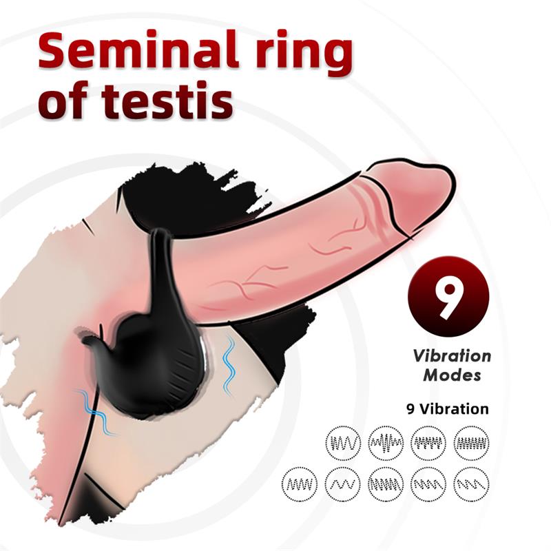 Vibrating Penis and Resticles Ring