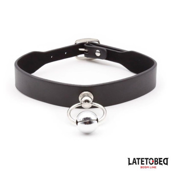 Collar with Bell and Leash