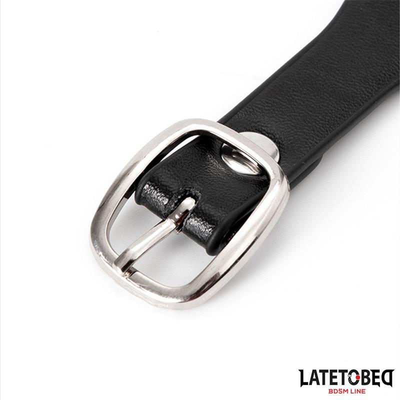 Collar with Bell and Leash