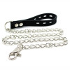Collar with Leash Silicone