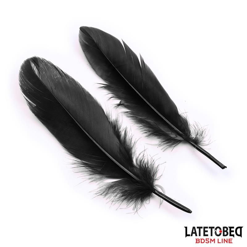 3 Pieces Set Mask, Handcuffs and Feathers Black