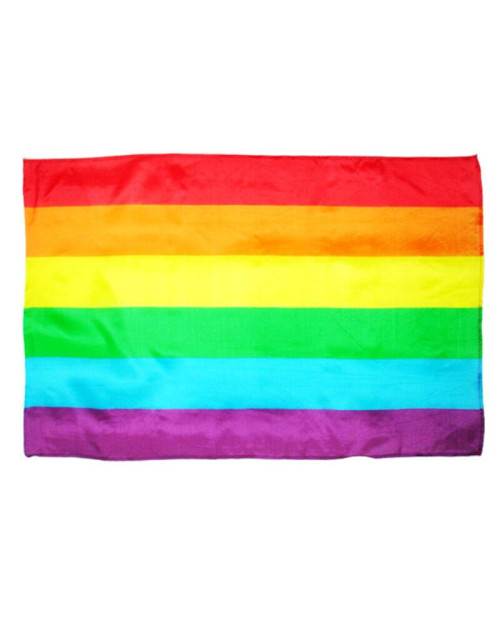 Flag Big LGBT+ Colors