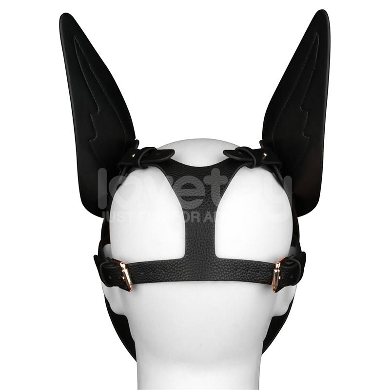 Rebellion Reign Scarred Alpha Pup Mask Blue