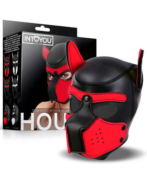 Hound Dog Hound with Removable Muzzle Neoprene Black/Red One Size