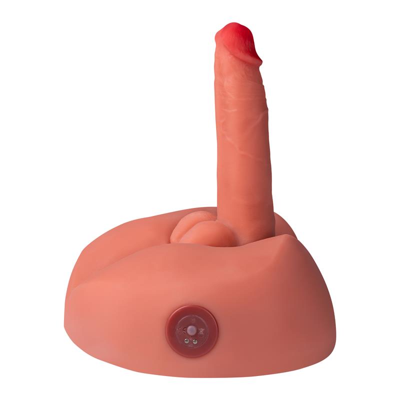Honey Masturbator with Thrusting and Vibrating 3.2 kg
