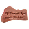 Anne Super Realistic Vagina and Anus 695 gr