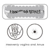 Male Masturbaot Virgin-skin Vagina and Anus