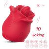 Rose with Licking and Vibration