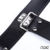 Bound Arm Restraint Set