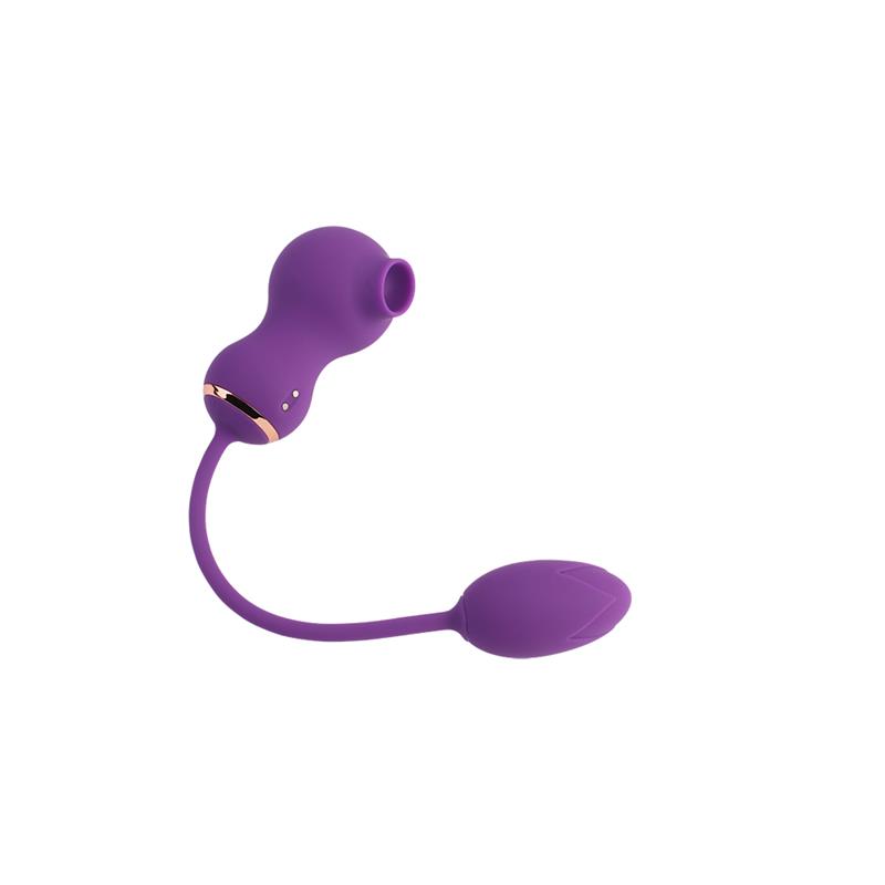 Rusher Clitoris Sucker and Vibrating Egg