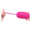 Selkie Vibrating Egg with Remote Control