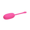 Kirk Vibrating Egg with Movil APP Silicone USB