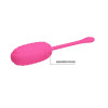 Kirk Vibrating Egg with Movil APP Silicone USB
