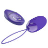 Berger-Youth Vibrating Egg with Remote Control