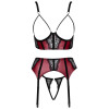 Bra, Suspender Belt & String