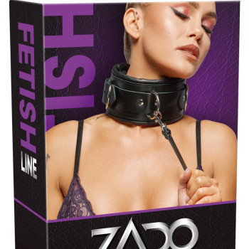 Leather Collar & Leash