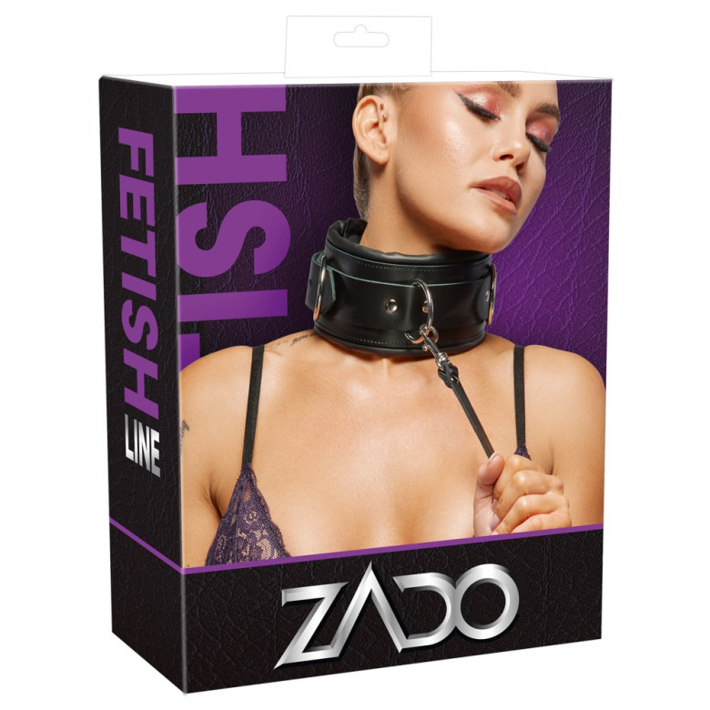 Leather Collar & Leash