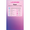 Lovense Product Display