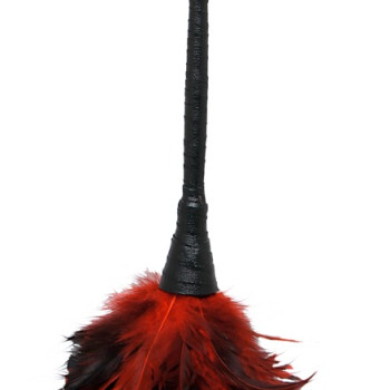 FFS Frisky Feather Duster