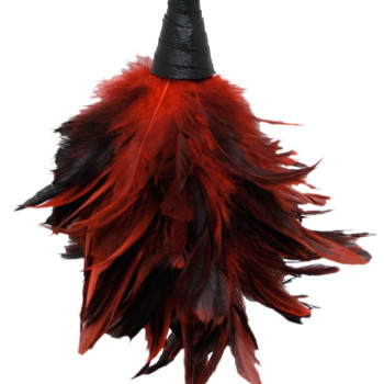 FFS Frisky Feather Duster