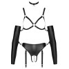Bad Kitty Set