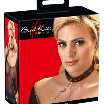 Collar and Leash