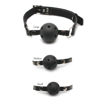 FFS Ball Gag Training System