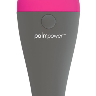 palmpower Massager