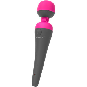 palmpower Massager