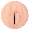 Fleshlight Girls Eve Sweet Fle