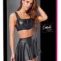 Top and Skirt