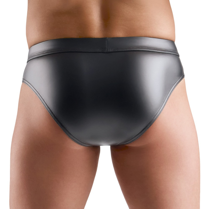 M. Briefs