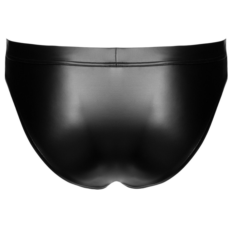M. Briefs
