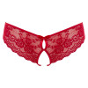 Lace Briefs Crotchless