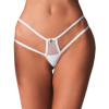 OBS Thong