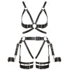 Leather Harness Set