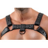 Men's Chest Harness black