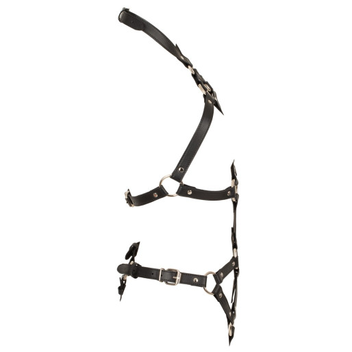 Bad Kitty Metall Harness S-L