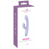 beau coeur Rivano Curved Rabbi
